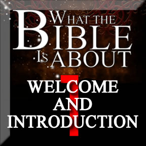 The Amazing Bible