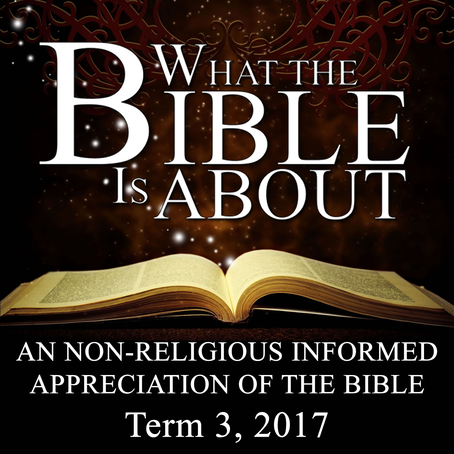 The Amazing Bible